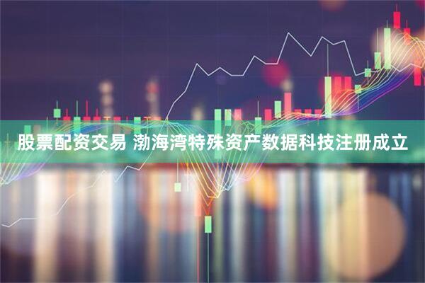 股票配资交易 渤海湾特殊资产数据科技注册成立